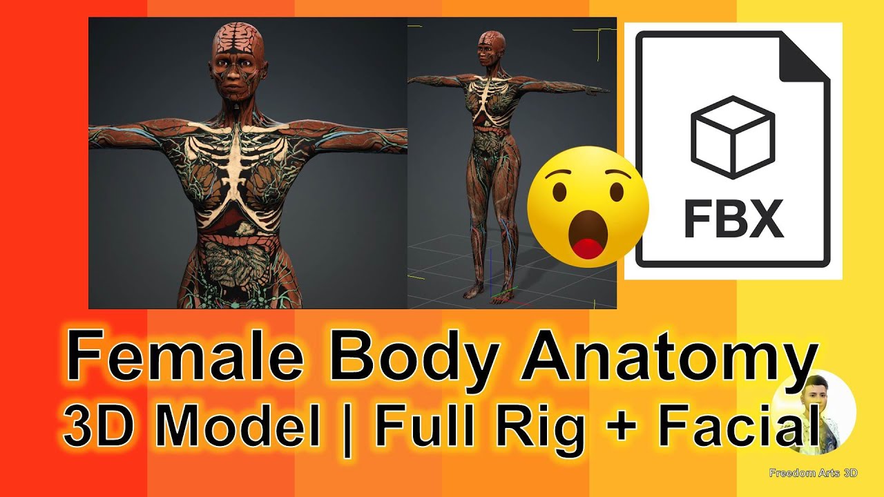 Female Anatomy FBX | Rigged | Facial | 3D Model | Freedom Arts 3D