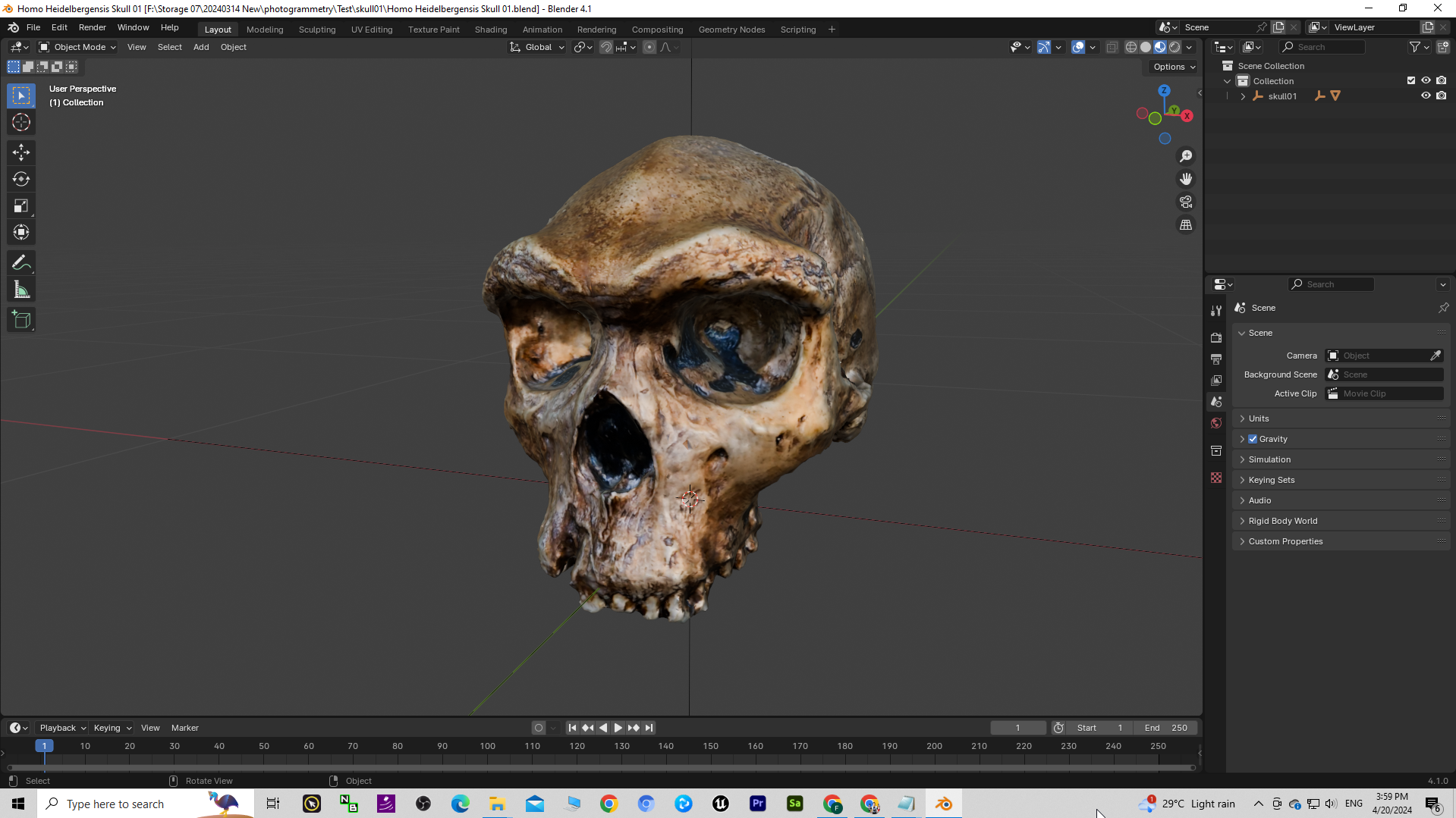 Homo Heidelbergensis Skull 01 | FBX | Blender